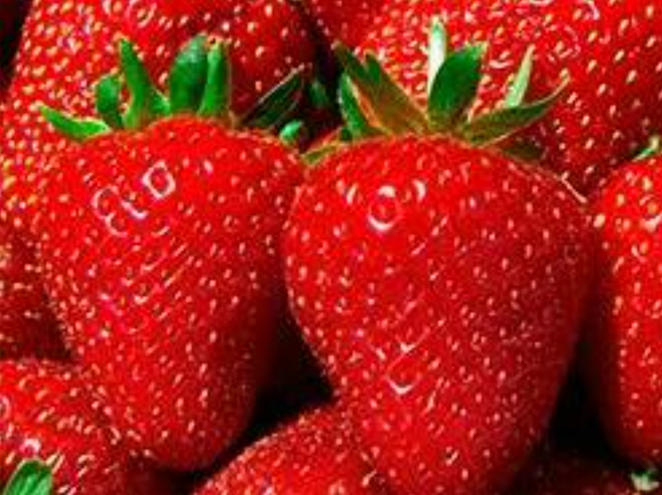 Клубника Альбион Клубника Альбион