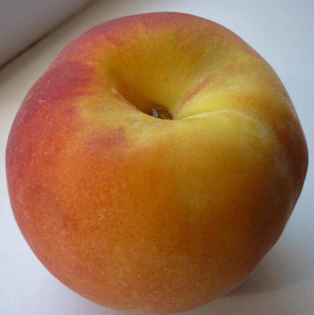 Персик Крымская осень Персик Крымская осень