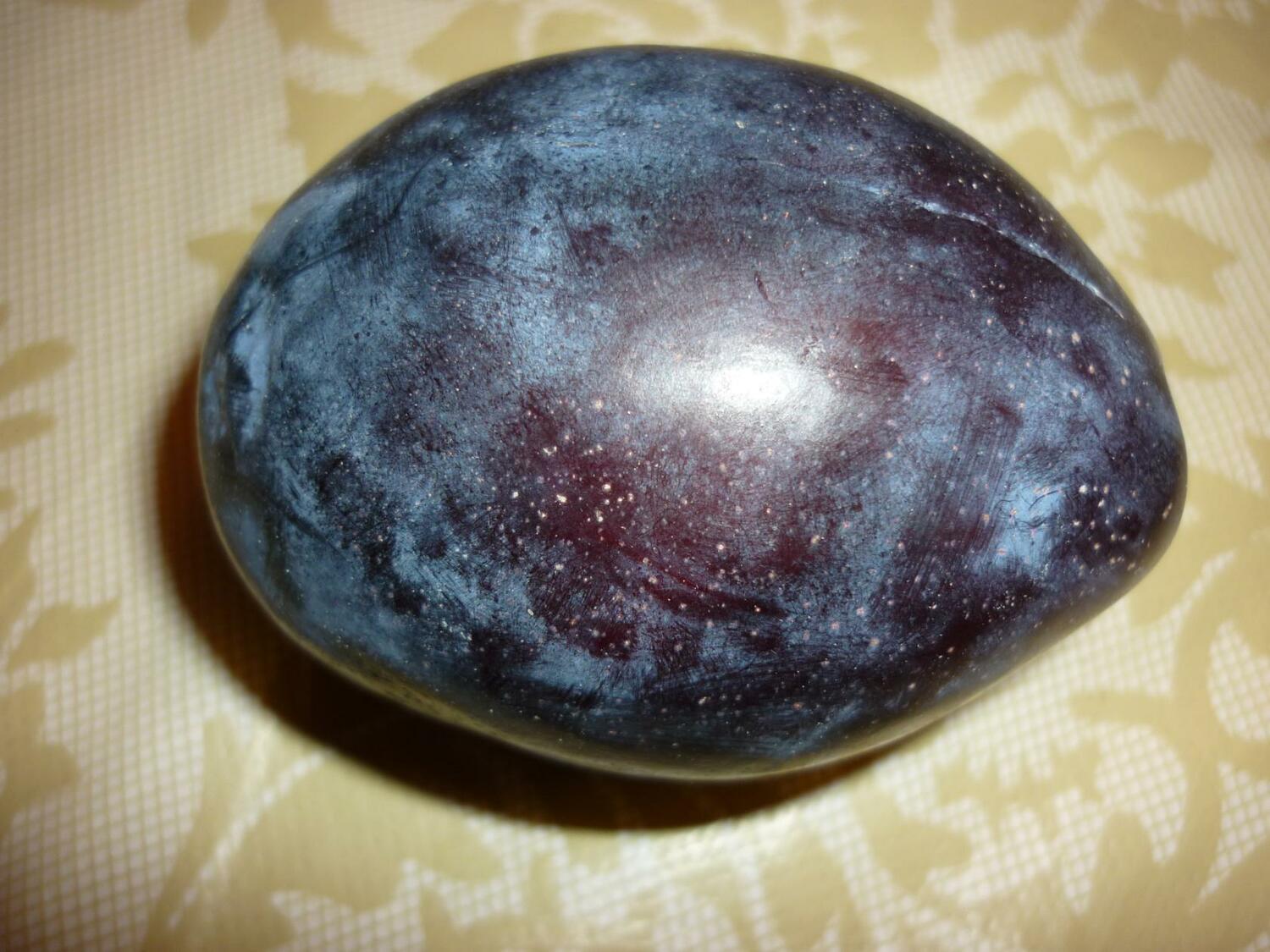 Слива Стенлей Слива Стенлей