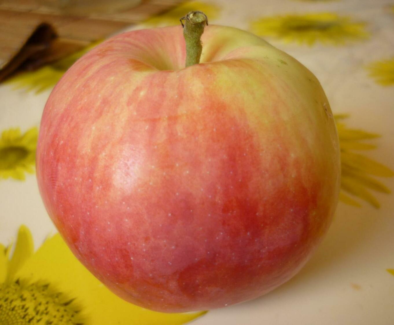 Яблоня Мантет Яблоня Мантет